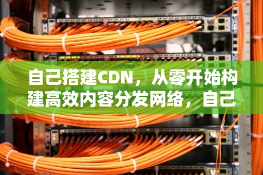 自己搭建CDN，从零开始构建高效内容分发网络，自己搭建cdn服务器赚钱