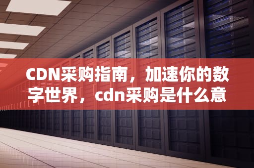 CDN采购指南，加速你的数字世界，cdn采购是什么意思