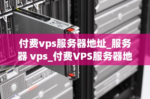 付费vps服务器地址_服务器 vps_付费VPS服务器地址的选择与优化