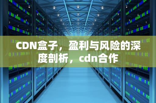 CDN盒子，盈利与风险的深度剖析，cdn合作