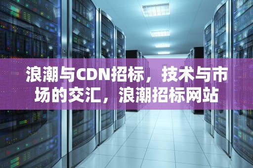 浪潮与CDN招标，技术与市场的交汇，浪潮招标网站