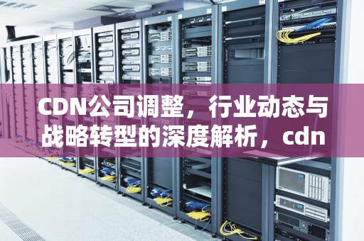 CDN公司调整，行业动态与战略转型的深度解析，cdn企业