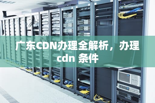 广东CDN办理全解析，办理cdn 条件