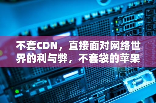 不套CDN，直接面对网络世界的利与弊，不套袋的苹果品种