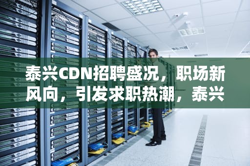泰兴CDN招聘盛况，职场新风向，引发求职热潮，泰兴企业招聘