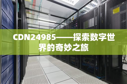 CDN24985——探索数字世界的奇妙之旅