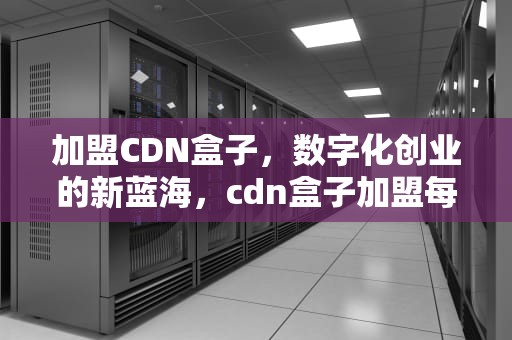 加盟CDN盒子，数字化创业的新蓝海，cdn盒子加盟每年要交钱吗