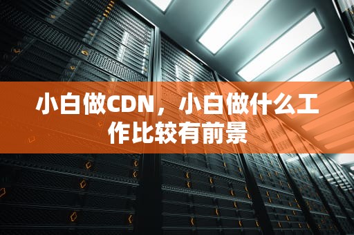 小白做CDN，小白做什么工作比较有前景