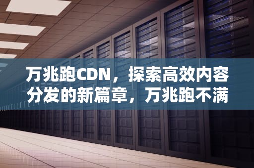 万兆跑CDN，探索高效内容分发的新篇章，万兆跑不满