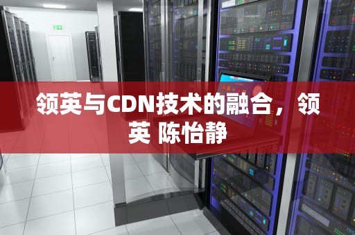 领英与CDN技术的融合，领英 陈怡静