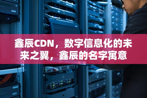 鑫辰CDN，数字信息化的未来之翼，鑫辰的名字寓意