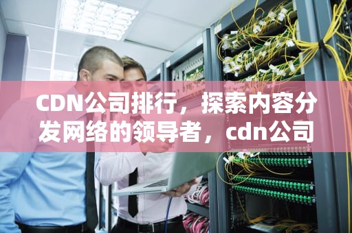 CDN公司排行，探索内容分发网络的领导者，cdn公司排名