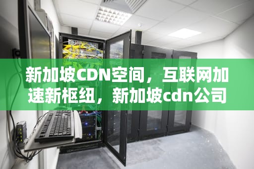 新加坡CDN空间，互联网加速新枢纽，新加坡cdn公司