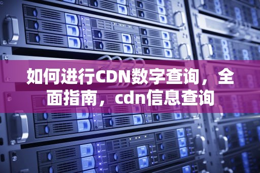 如何进行CDN数字查询，全面指南，cdn信息查询