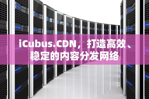 iCubus.CDN，打造高效、稳定的内容分发网络