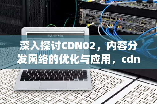 深入探讨CDN02，内容分发网络的优化与应用，cdn02 tianzhuwoye