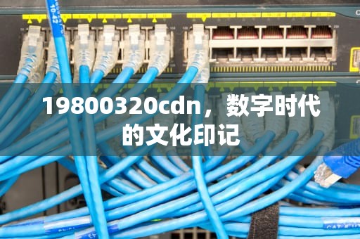 19800320cdn，数字时代的文化印记