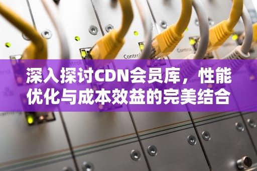 深入探讨CDN会员库，性能优化与成本效益的完美结合，cdn在哪里找