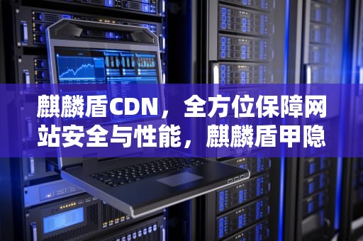 麒麟盾CDN，全方位保障网站安全与性能，麒麟盾甲隐形车衣价格
