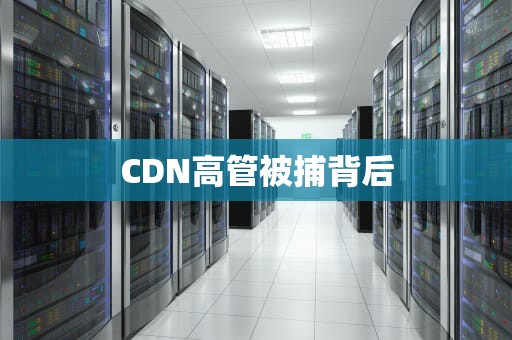 CDN高管被捕背后