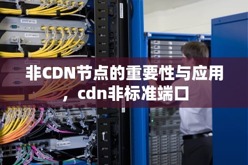 非CDN节点的重要性与应用，cdn非标准端口