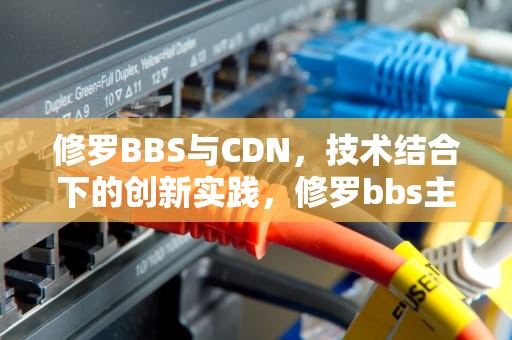 修罗BBS与CDN，技术结合下的创新实践，修罗bbs主题