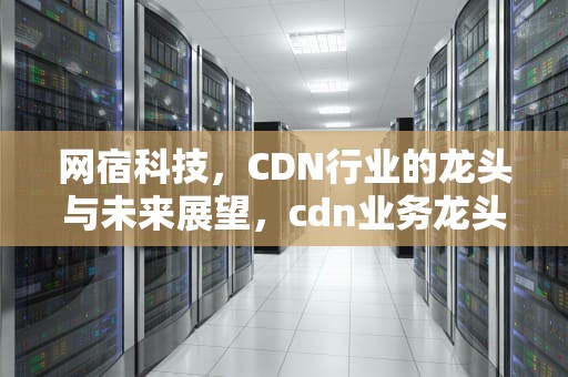网宿科技，CDN行业的龙头与未来展望，cdn业务龙头公司