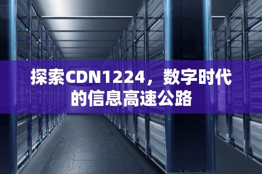 探索CDN1224，数字时代的信息高速公路