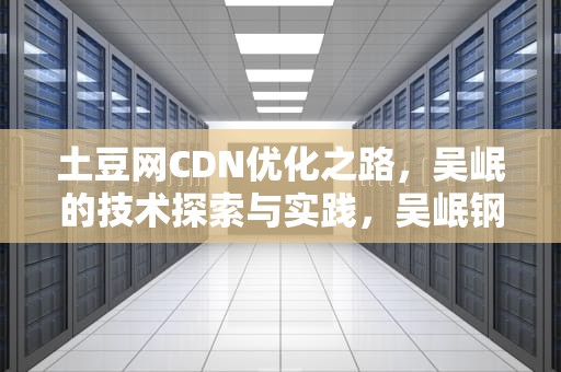 土豆网CDN优化之路，吴岷的技术探索与实践，吴岷钢