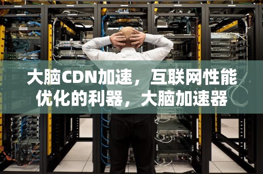 大脑CDN加速，互联网性能优化的利器，大脑加速器