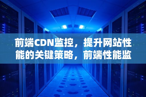 前端CDN监控，提升网站性能的关键策略，前端性能监控系统