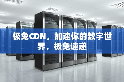 极兔CDN，加速你的数字世界，极兔速递