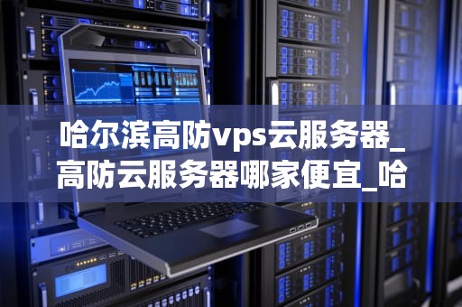 哈尔滨高防vps云服务器_高防云服务器哪家便宜_哈尔滨高防VPS云服务器的优势与应用