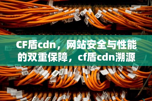 CF盾cdn，网站安全与性能的双重保障，cf盾cdn溯源真实IP