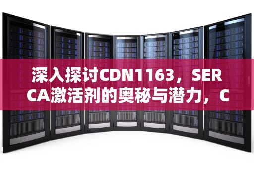 深入探讨CDN1163，SERCA激活剂的奥秘与潜力，CDN1163治疗心衰的最新研究进展