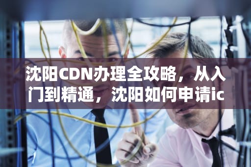 沈阳CDN办理全攻略，从入门到精通，沈阳如何申请icti认证流程