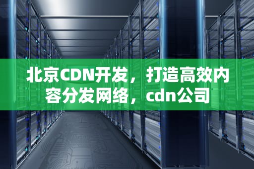 北京CDN开发，打造高效内容分发网络，cdn公司