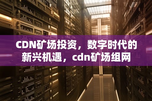 CDN矿场投资，数字时代的新兴机遇，cdn矿场组网
