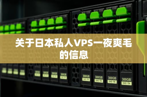 关于日本私人VPS一夜爽毛的信息