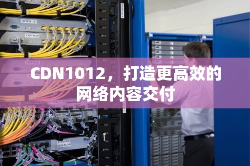 CDN1012，打造更高效的网络内容交付