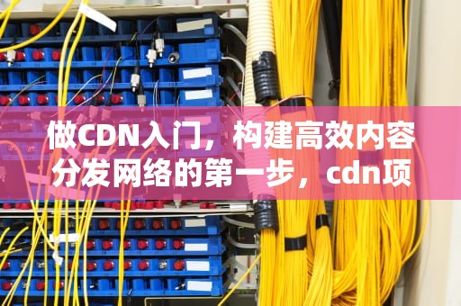 做CDN入门，构建高效内容分发网络的第一步，cdn项目怎么做
