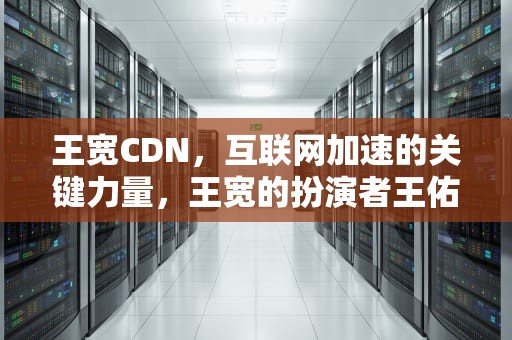 王宽CDN，互联网加速的关键力量，王宽的扮演者王佑硕