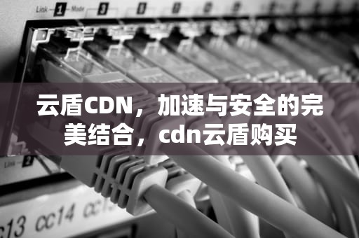 云盾CDN，加速与安全的完美结合，cdn云盾购买