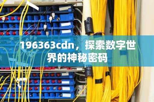 196363cdn，探索数字世界的神秘密码