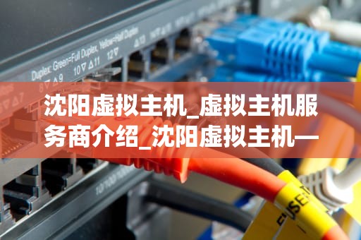 沈阳虚拟主机_虚拟主机服务商介绍_沈阳虚拟主机——助力企业信息化建设