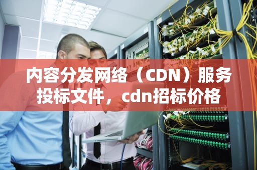 内容分发网络（CDN）服务投标文件，cdn招标价格