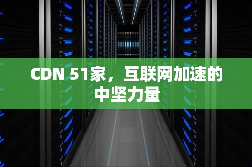 CDN 51家，互联网加速的中坚力量