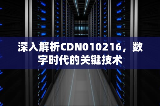 深入解析CDN010216，数字时代的关键技术