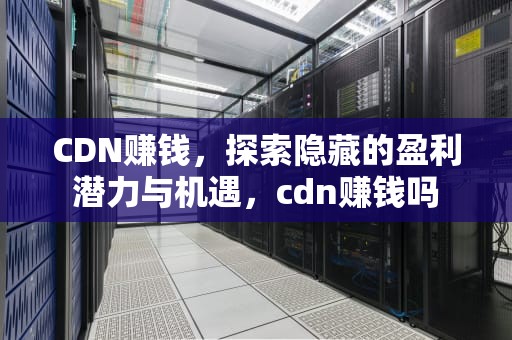 CDN赚钱，探索隐藏的盈利潜力与机遇，cdn赚钱吗