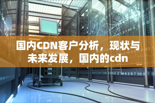 国内CDN客户分析，现状与未来发展，国内的cdn